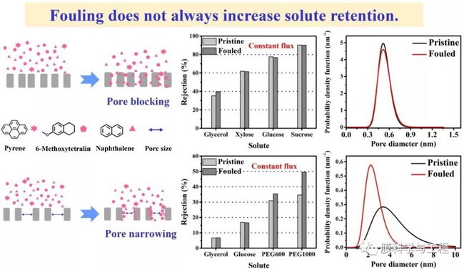 “小”孔里有“大”玄機---納濾膜污染機理新發(fā)現(xiàn)